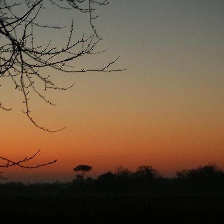 Gite Le Coucher De Soleil Plessé Esterno foto