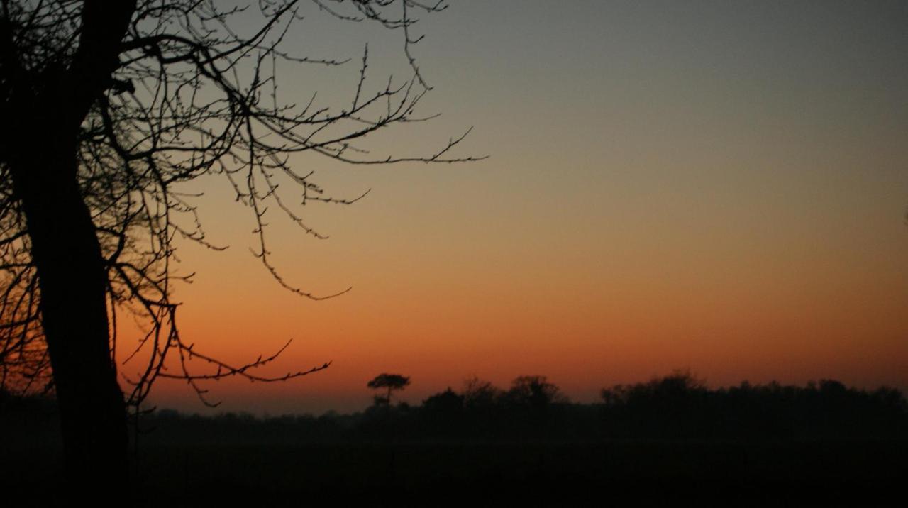 Gite Le Coucher De Soleil Plessé Esterno foto